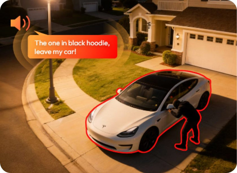 Autoschued