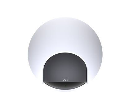 Home Security Bundle: W510 Outdoor Camera + C221 Indoor Camera